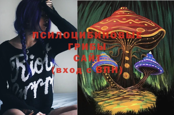 ECSTASY Абаза