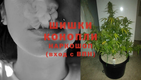 герыч Вяземский