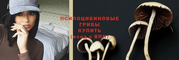 ECSTASY Абаза